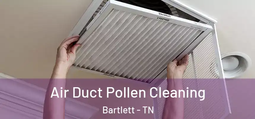  Air Duct Pollen Cleaning Bartlett - TN