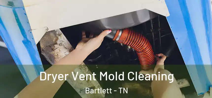 Dryer Vent Mold Cleaning Bartlett - TN