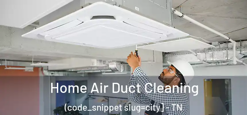  Home Air Duct Cleaning (code_snippet slug=city] - TN