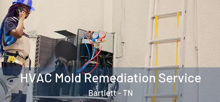  HVAC Mold Remediation Service Bartlett - TN