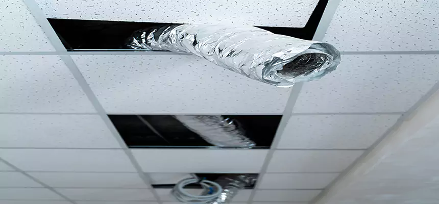 Our Air Duct Pet Hair Removal Services in Bartlett, TN