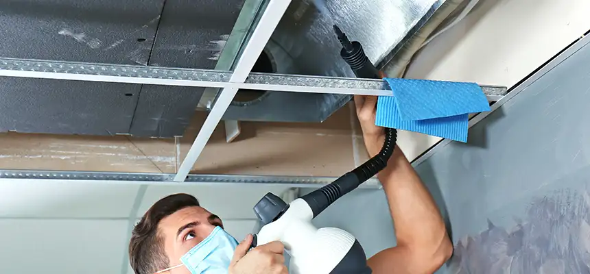 Our Air Duct Rodent Removal Services in Bartlett, TN