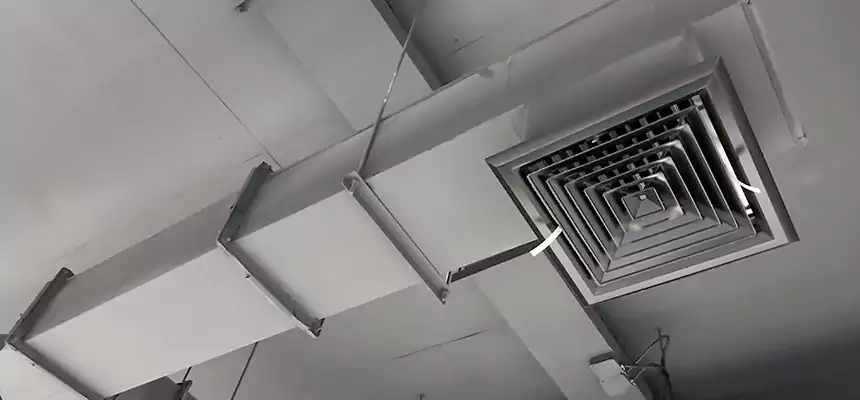 Our Rodent Droppings In Vents Services in Bartlett, TN