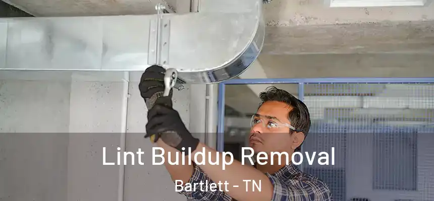  Lint Buildup Removal Bartlett - TN