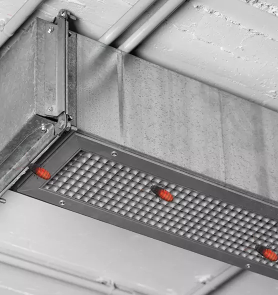 About Air Duct Cockroach Removal in Bartlett, TN