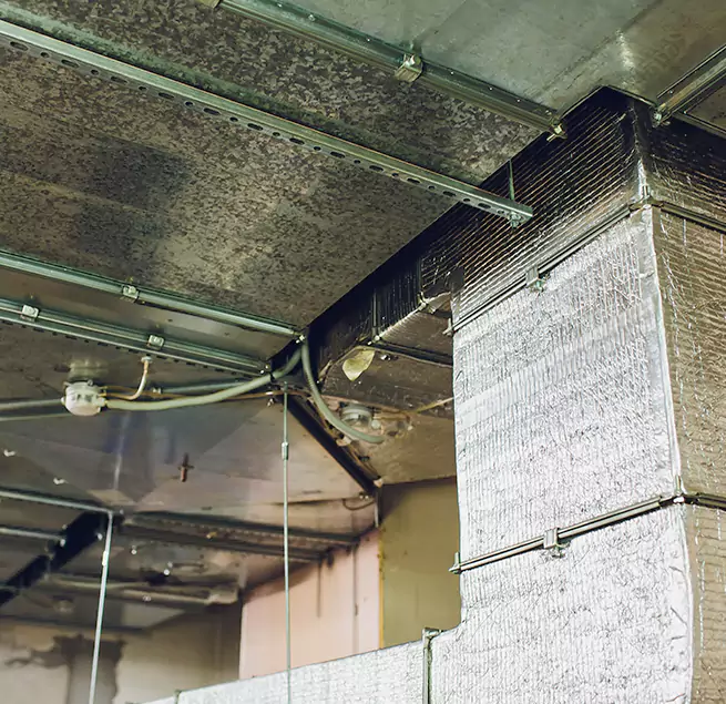 Why Homeowners & Businesses Trust Us in Bartlett, TN?