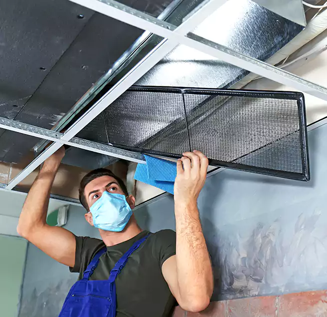 Why Homeowners Businesses Trust Us in Bartlett, TN